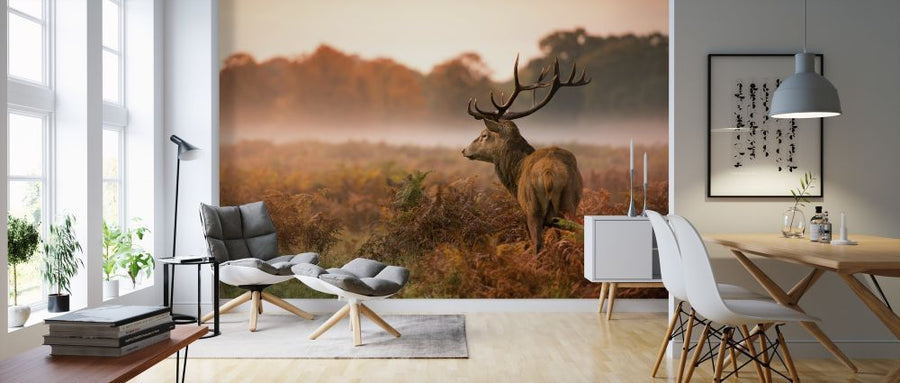 PHOTOWALL / Red Deer Stag (e316475)