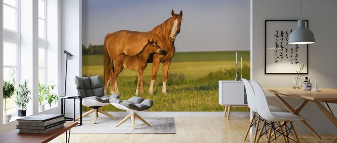 PHOTOWALL / Mare with Foal (e316476)