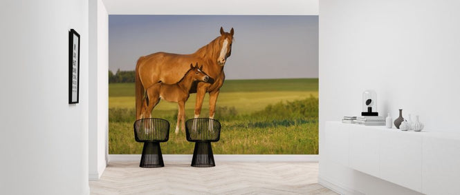 PHOTOWALL / Mare with Foal (e316476)