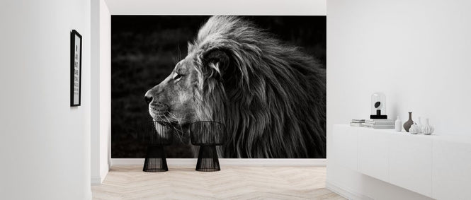 PHOTOWALL / Lion (e316477)