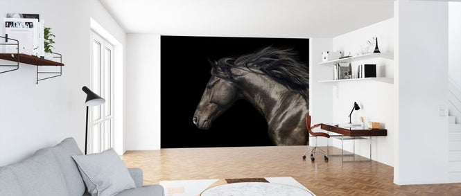 PHOTOWALL / Black Horse (e316479)