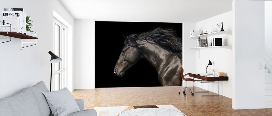 PHOTOWALL / Black Horse (e316479)