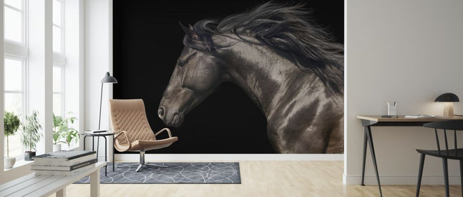 PHOTOWALL / Black Horse (e316479)