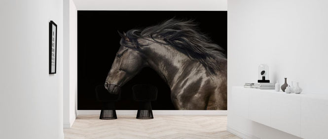 PHOTOWALL / Black Horse (e316479)