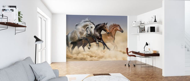 PHOTOWALL / Three Horses Run (e316480)