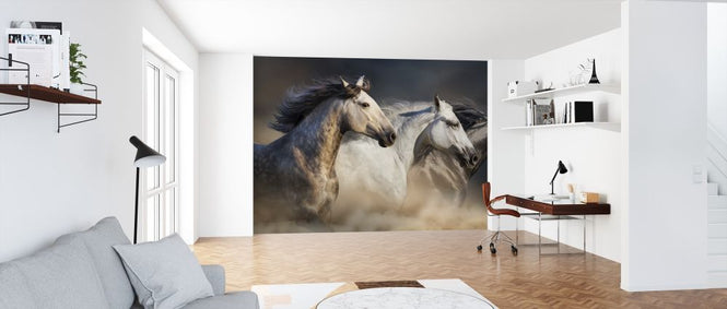 PHOTOWALL / Horses in Dust (e316481)