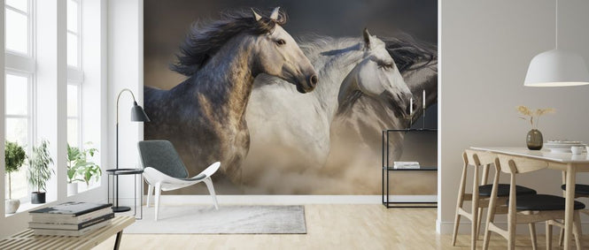 PHOTOWALL / Horses in Dust (e316481)
