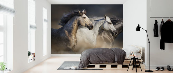 PHOTOWALL / Horses in Dust (e316481)