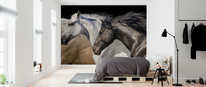 PHOTOWALL / Horses in Motion (e316482)