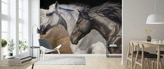 PHOTOWALL / Horses in Motion (e316482)