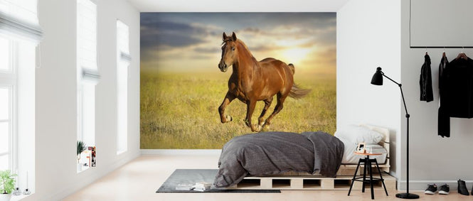 PHOTOWALL / Red Horse Run (e316483)