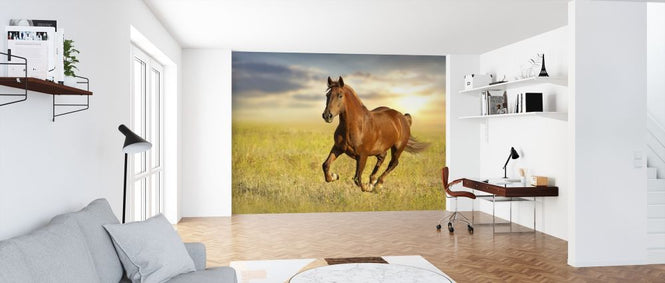 PHOTOWALL / Red Horse Run (e316483)