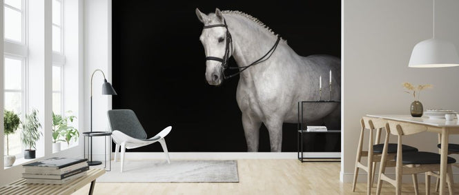 PHOTOWALL / White Horse Dressage (e316484)