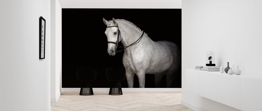 PHOTOWALL / White Horse Dressage (e316484)