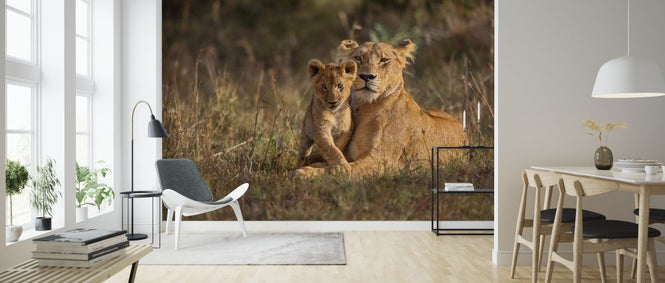 PHOTOWALL / Lion Mother with Cub (e316485)