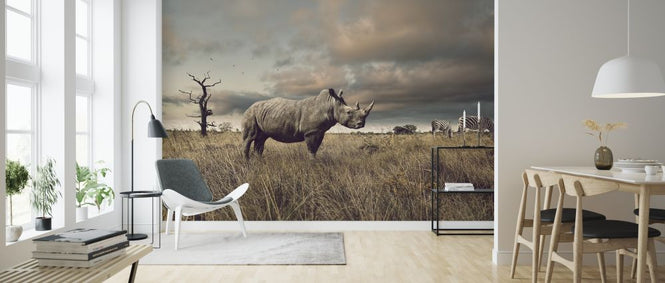 PHOTOWALL / Rhino and Zebra in Grasslands (e316487)
