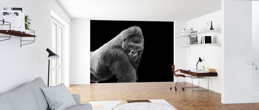 PHOTOWALL / Adult Gorilla (e316488)