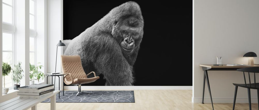 PHOTOWALL / Adult Gorilla (e316488)