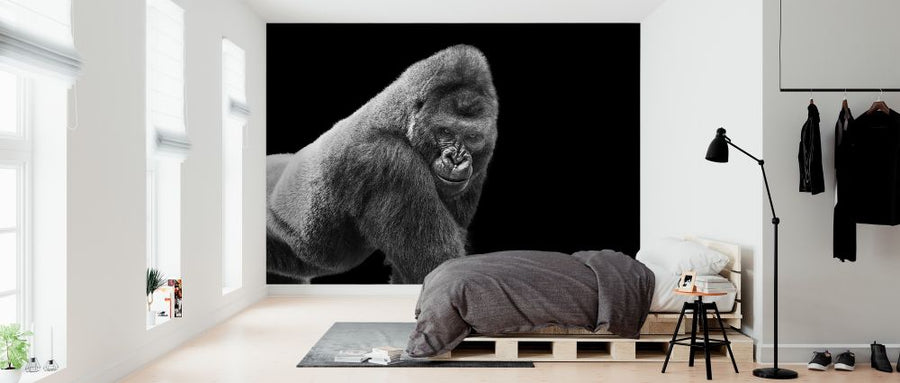 PHOTOWALL / Adult Gorilla (e316488)