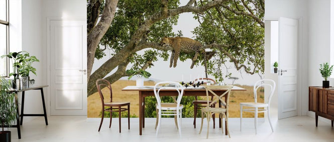 PHOTOWALL / Leopard Sleeping in Tree (e316491)