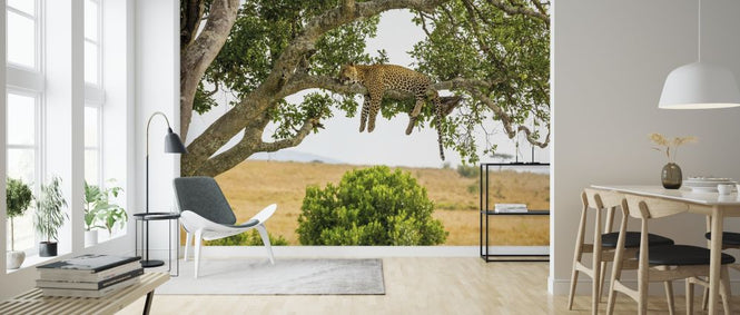 PHOTOWALL / Leopard Sleeping in Tree (e316491)