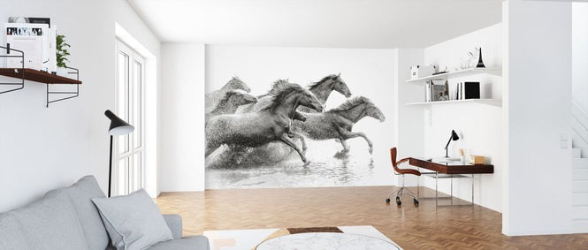 PHOTOWALL / Herd of Wild Horses (e316493)