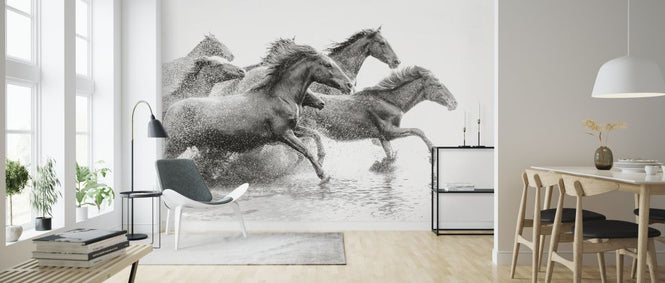 PHOTOWALL / Herd of Wild Horses (e316493)