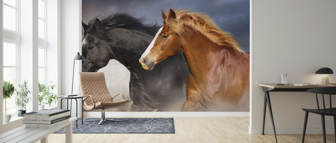 PHOTOWALL / Horse Herd (e316495)