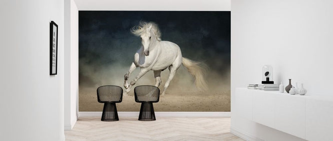 PHOTOWALL / White Andalusian Horse (e316496)
