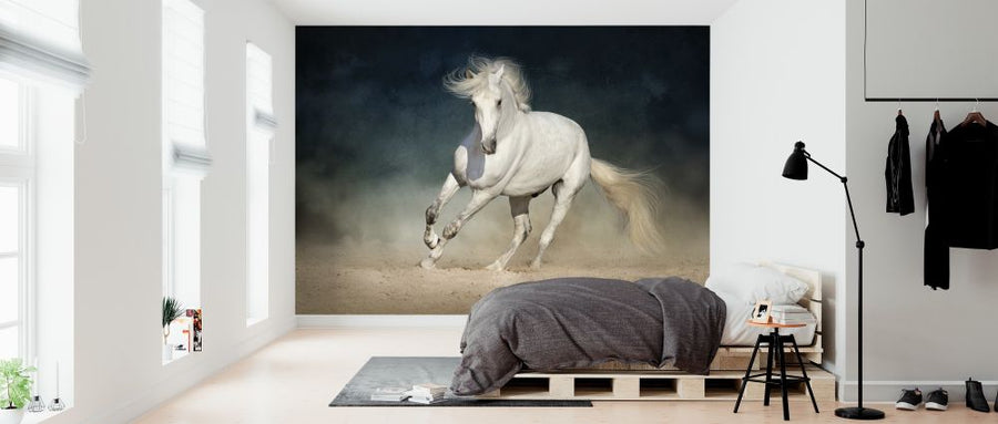 PHOTOWALL / White Andalusian Horse (e316496)