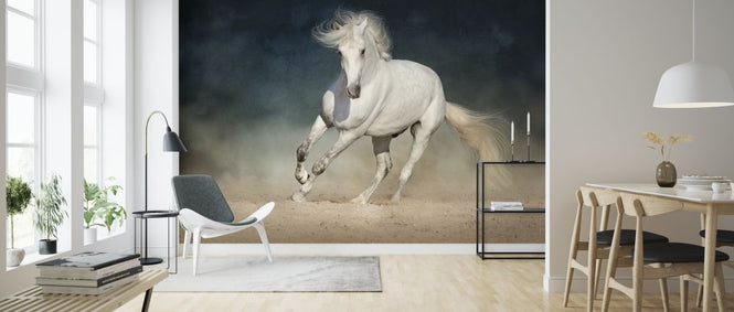PHOTOWALL / White Andalusian Horse (e316496)