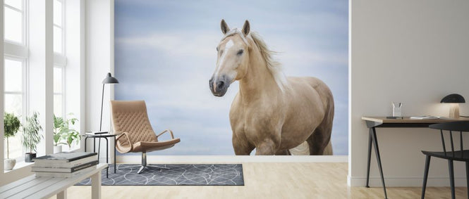 PHOTOWALL / Portrait of a Horse (e316497)