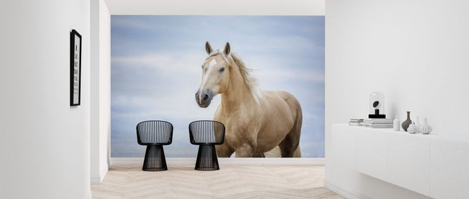PHOTOWALL / Portrait of a Horse (e316497)