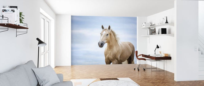 PHOTOWALL / Portrait of a Horse (e316497)