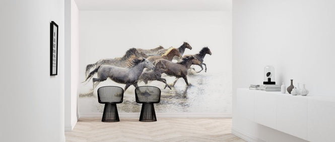 PHOTOWALL / Wild Horses of Anatolia (e316498)