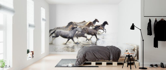 PHOTOWALL / Wild Horses of Anatolia (e316498)