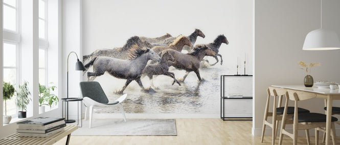 PHOTOWALL / Wild Horses of Anatolia (e316498)