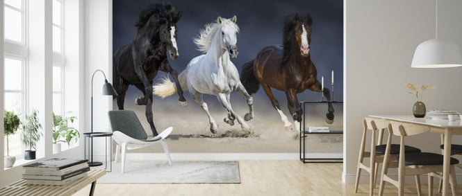 PHOTOWALL / Three Horses Run (e316499)