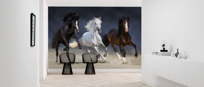 PHOTOWALL / Three Horses Run (e316499)