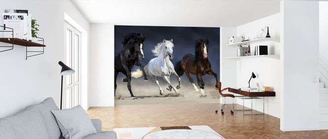 PHOTOWALL / Three Horses Run (e316499)