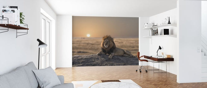 PHOTOWALL / Lion Sitting on the Rock (e316500)