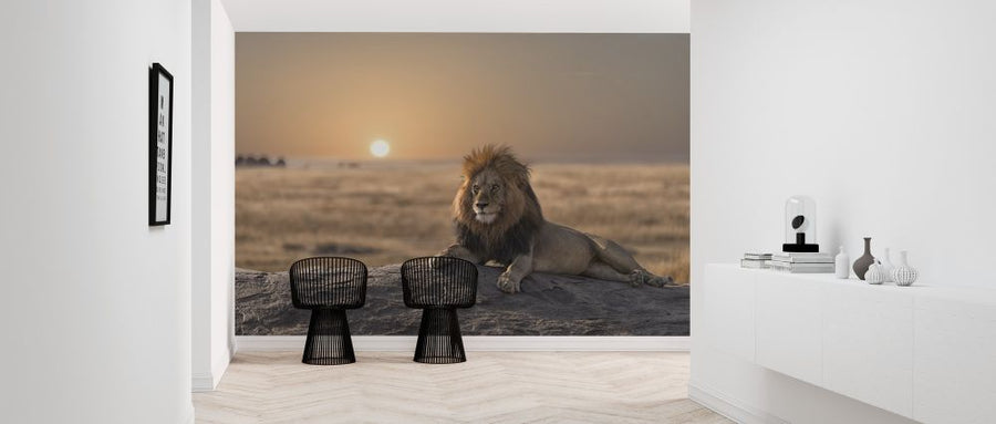 PHOTOWALL / Lion Sitting on the Rock (e316500)