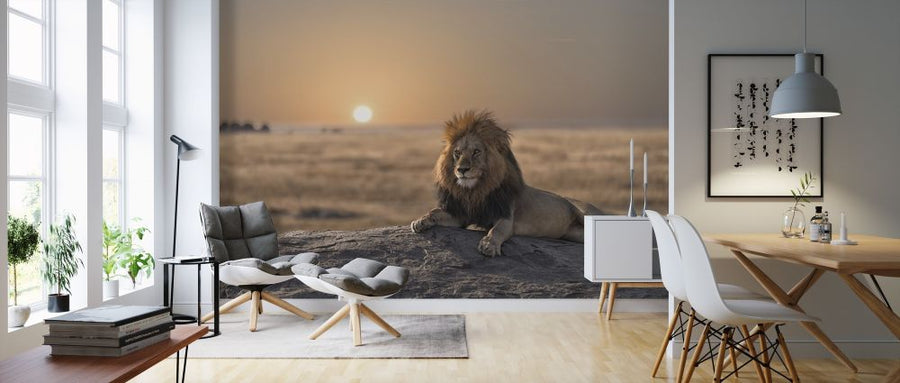 PHOTOWALL / Lion Sitting on the Rock (e316500)