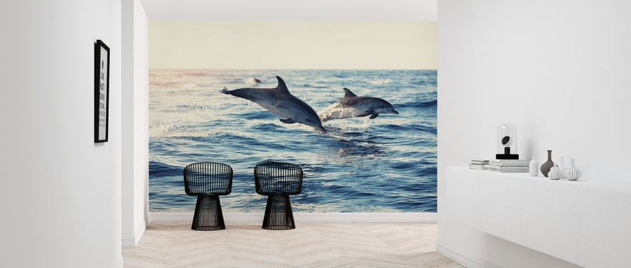 PHOTOWALL / Dolphins Jumping from the Sea (e316501)