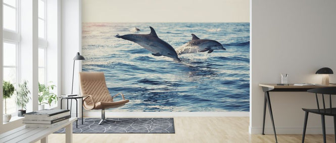 PHOTOWALL / Dolphins Jumping from the Sea (e316501)