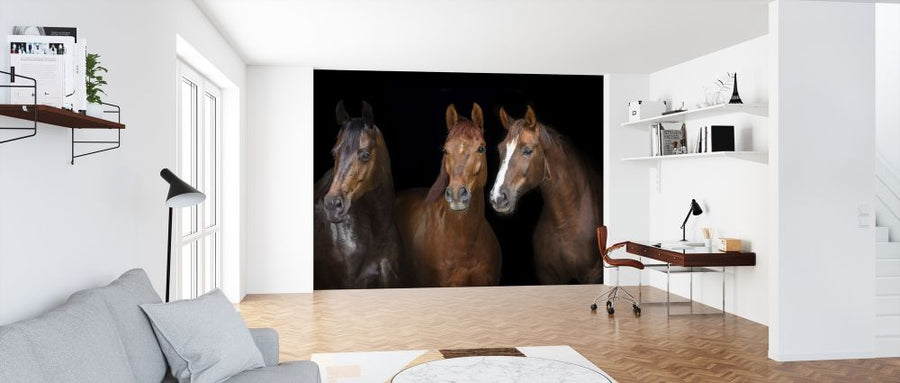 PHOTOWALL / Horses on Black (e316502)