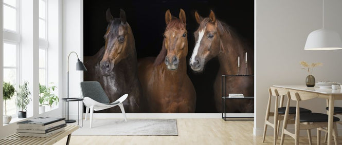PHOTOWALL / Horses on Black (e316502)