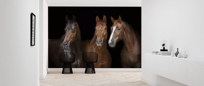 PHOTOWALL / Horses on Black (e316502)