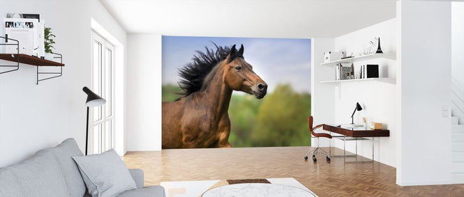 PHOTOWALL / Bay Horse Portrait (e316503)