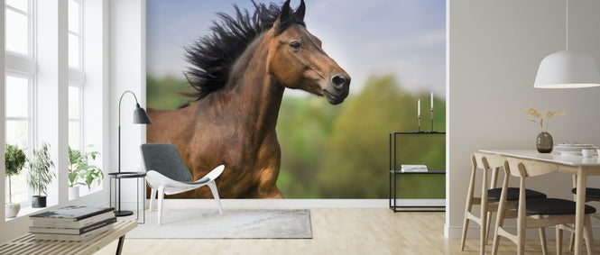 PHOTOWALL / Bay Horse Portrait (e316503)